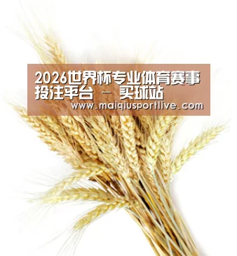 2026世界杯专业体育赛事投注平台 - 买球站