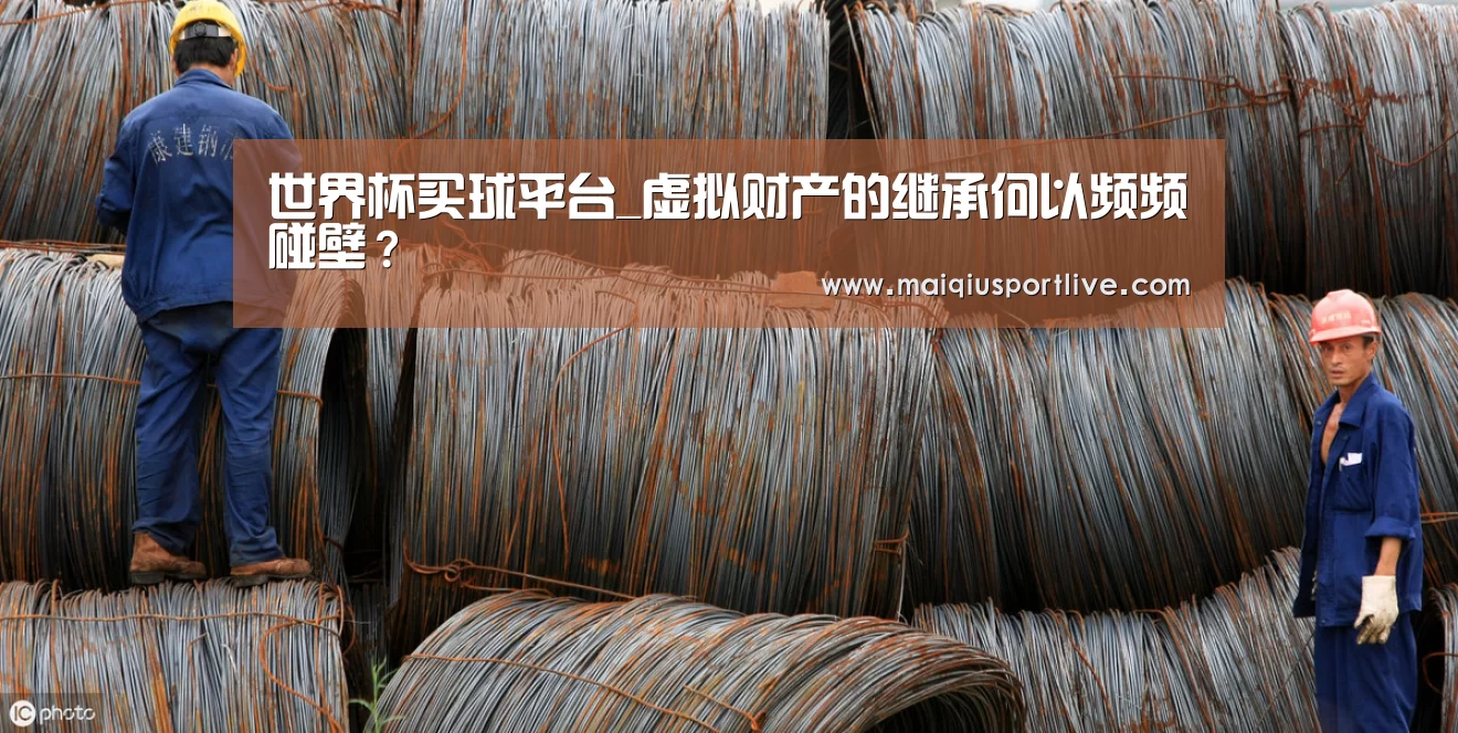 世界杯买球平台_虚拟财产的继承何以频频碰壁?(图2) 世界杯买球网站