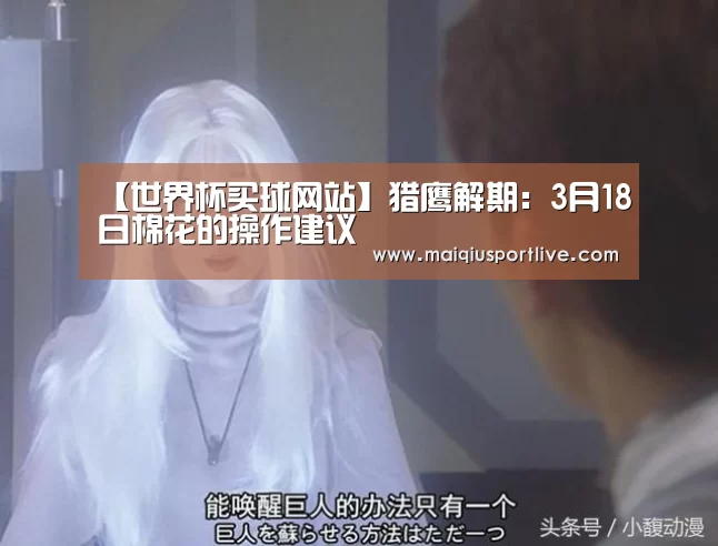 世界杯买球