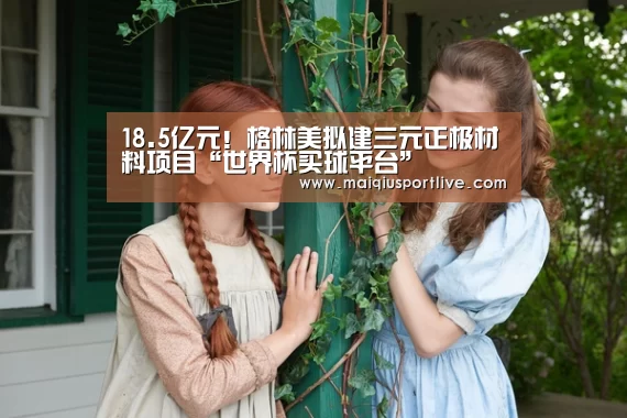 18.5亿元!格林美拟建三元正极材料项目“世界杯买球平台”(图3) 世界杯买球
