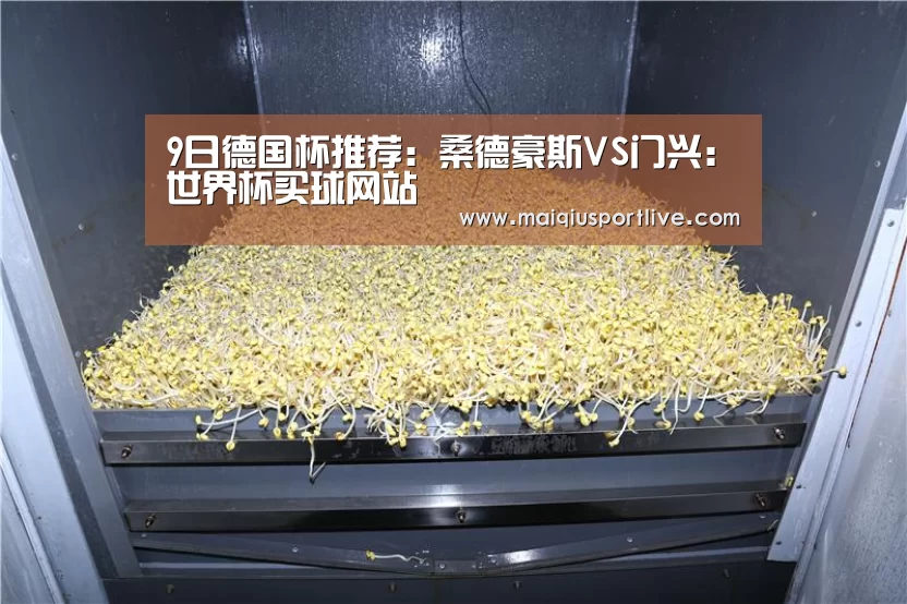 9日德国杯推荐:桑德豪斯VS门兴:世界杯买球网站(图1) 世界杯买球网站